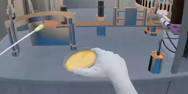 Case Libbs VR